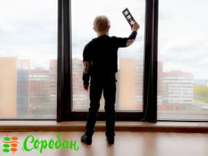 Ейдетика та Соробан